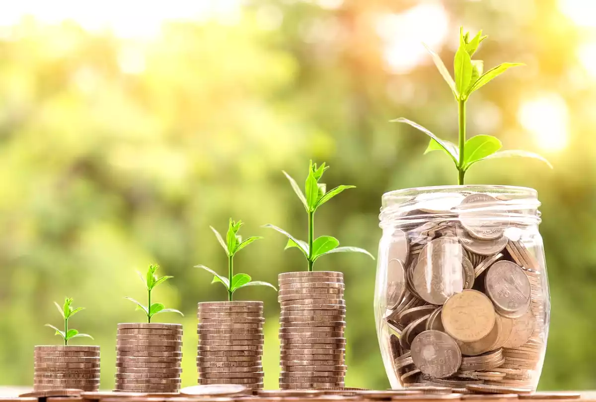 Mangiare sano senza spendere troppo: scopri gli alimenti più economici da scegliere!