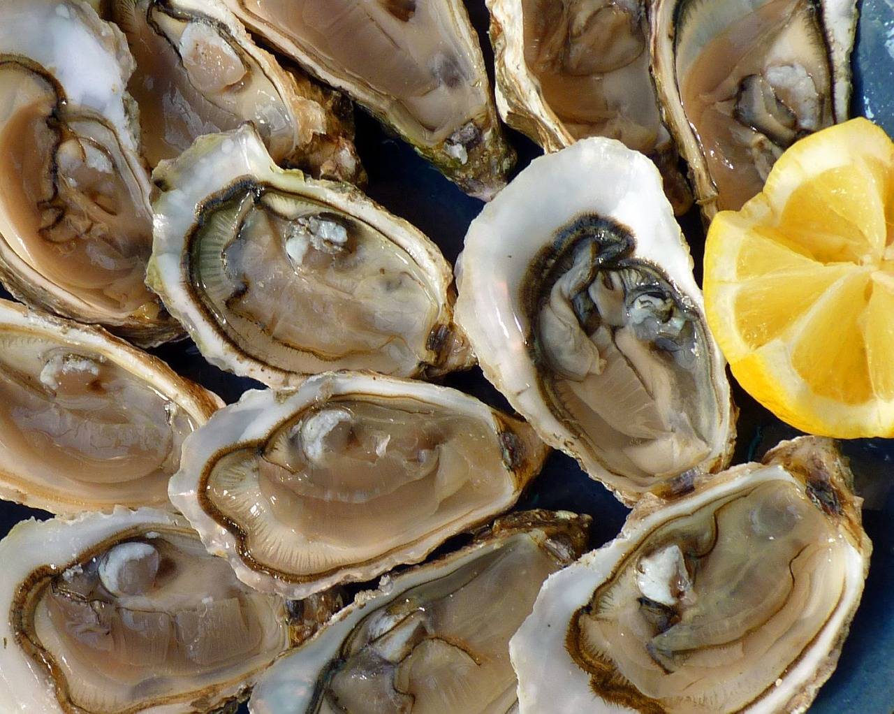 Come si aprono le ostriche in modo semplice e sicuro? Ecco la guida tenere sempre a portata di mano!