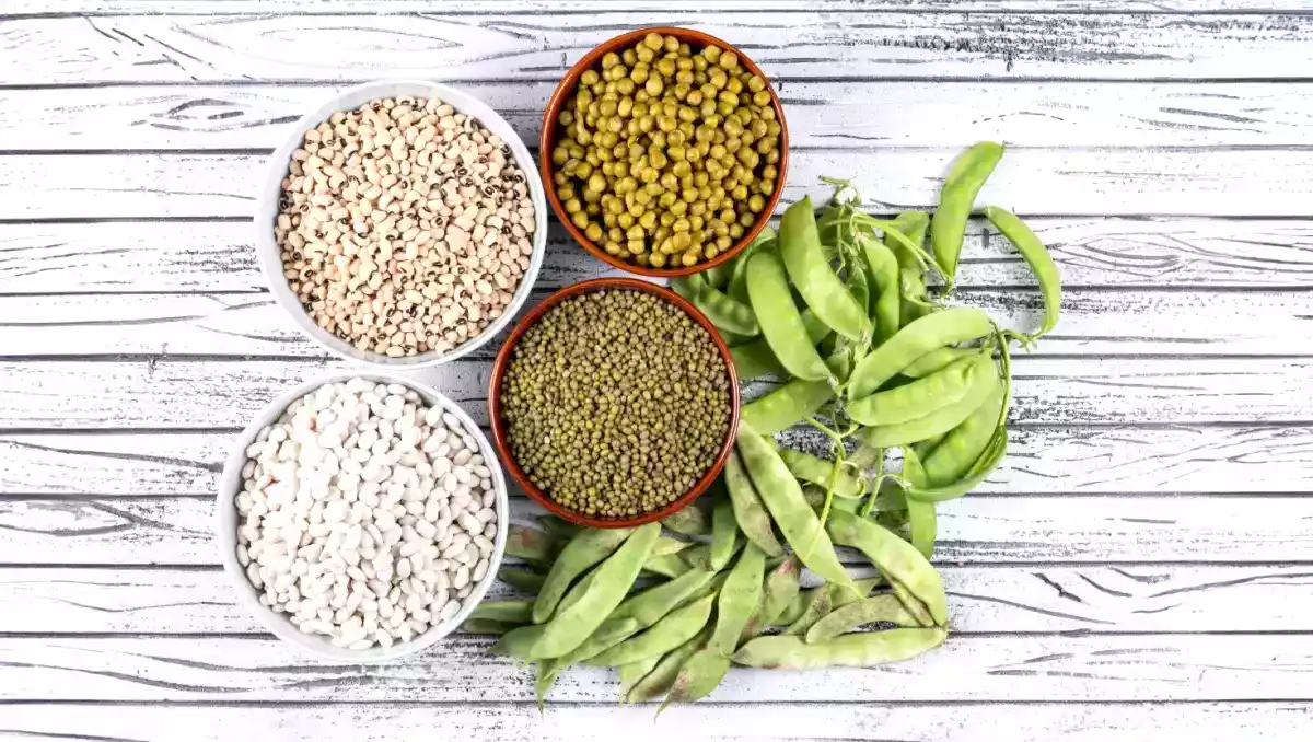 Potenzia la tua salute metabolica con queste 5 proteine vegetali straordinarie!