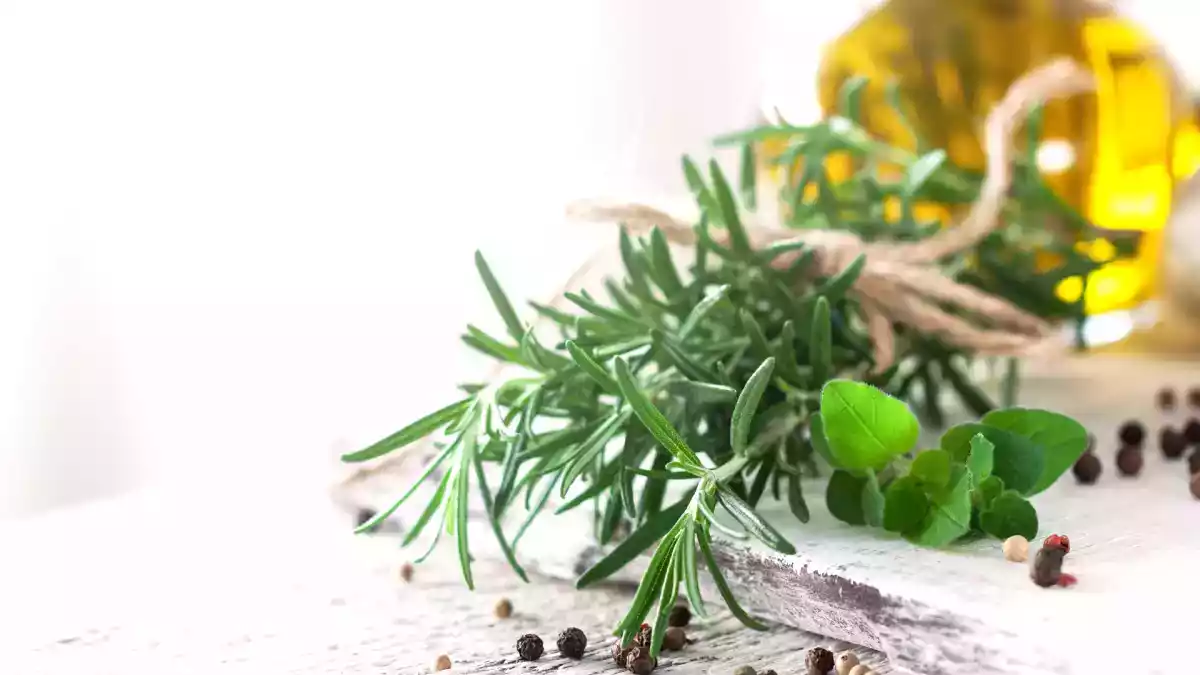 Scopri gli usi sorprendenti del rosmarino: dalla cucina ai benefici per la salute e il benessere quotidiano