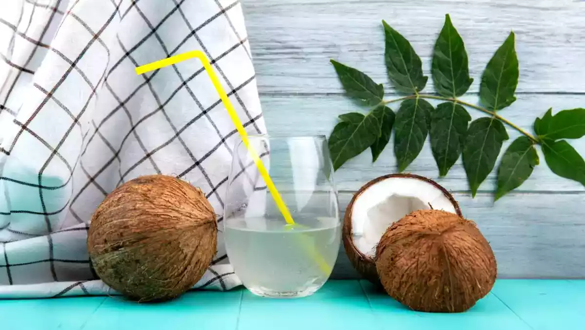 Acqua di cocco: il potente integratore naturale che gli sportivi adorano!