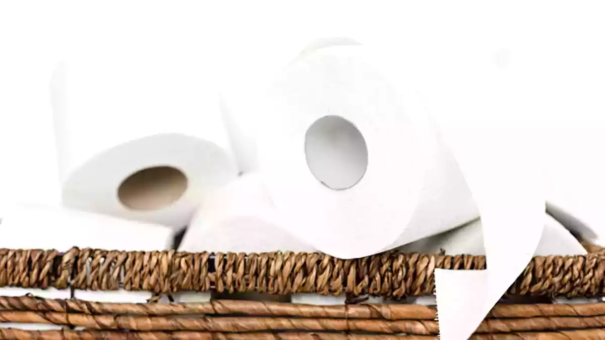 Perché sempre più persone mettono la carta igienica nel frigorifero?
