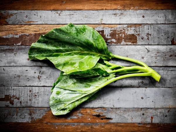 Questa verdura ha più ferro degli spinaci! L'avete provata?