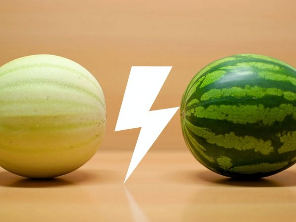 Melone o anguria: qual è la frutta più idratante per l’estate?