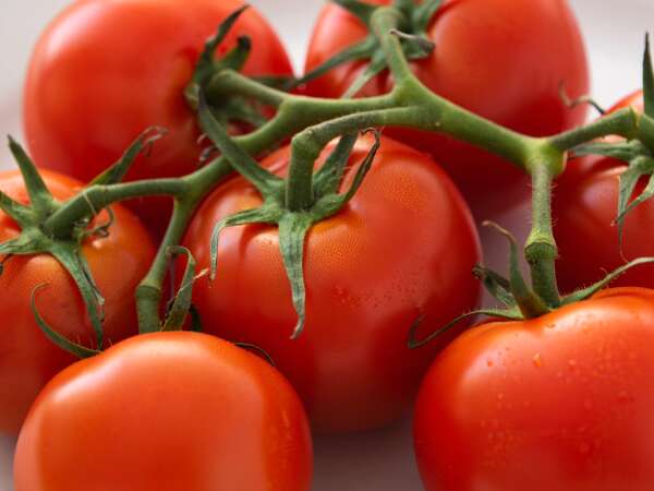 8 ricette con pomodori che ti faranno dimenticare la solita insalata