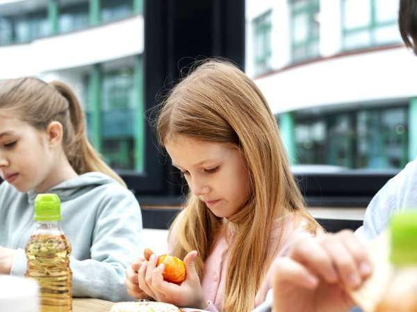 Il pesce più popolare nei menu delle mense scolastiche è stato vietato in Francia per la sua tossicità