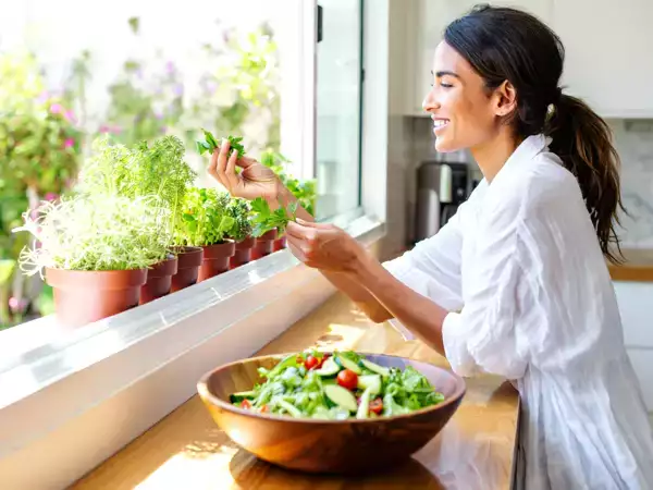 Scopri le erbe aromatiche perfette per crescere in cucina e quali temono la mancanza di sole