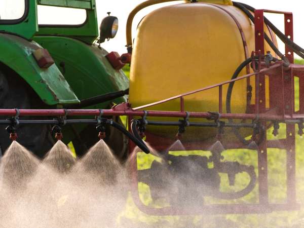 Cibi biologici e cadmio: cosa ha rivelato l’Anses e perché sempre più consumatori sono allarmati?