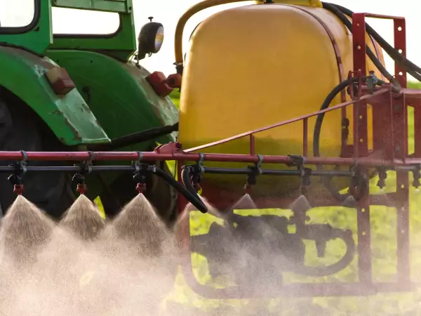 Cibi biologici e cadmio: cosa ha rivelato l’Anses e perché sempre più consumatori sono allarmati?