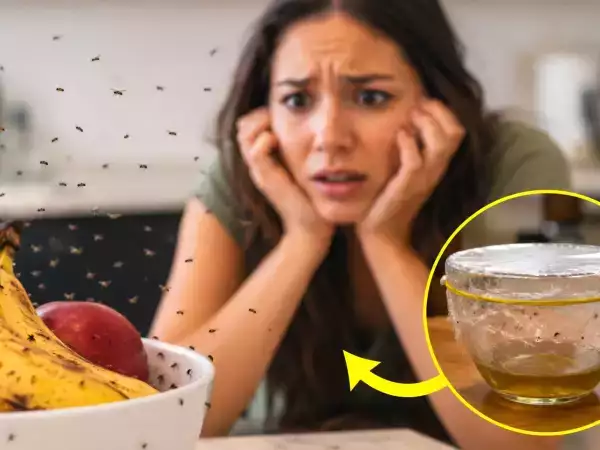 Come eliminare i moscerini in cucina in una sola notte: il rimedio naturale (senza spray chimici)