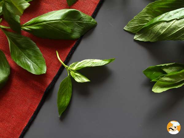 I segreti per ravvivare e conservare a lungo le erbe aromatiche fresche: consigli semplici per casa