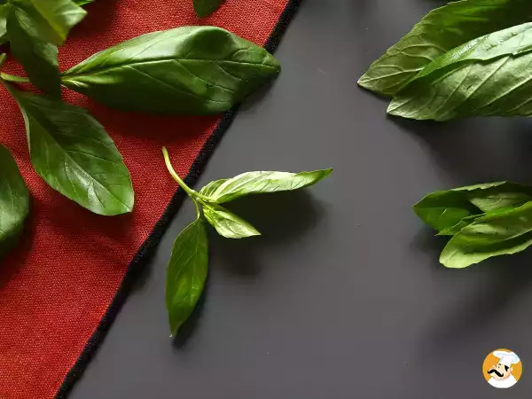 I segreti per ravvivare e conservare a lungo le erbe aromatiche fresche: consigli semplici per casa