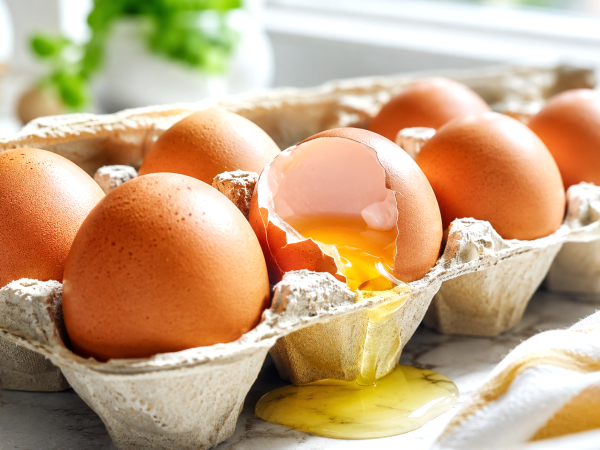 Uova richiamate per Salmonella: controlla subito questi 4 lotti