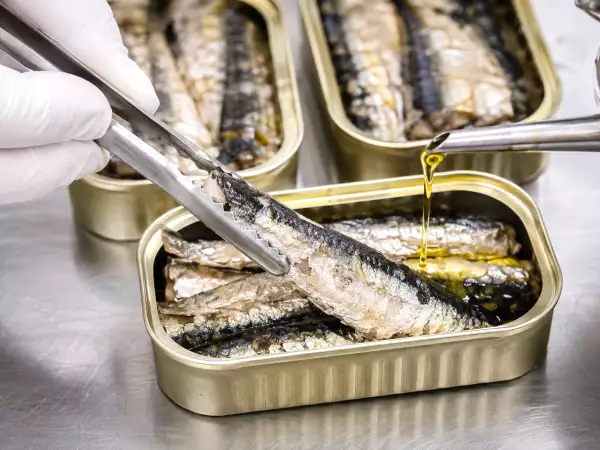 Dentro le sardine in scatola: cosa c’è davvero nelle lattine e perché è utile guardarle con più cura