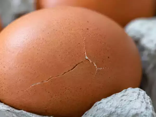 Uovo con il guscio crepato, quando puoi mangiarlo e quando è meglio buttarlo