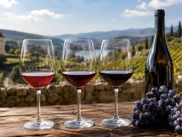 Pinot Nero: differenze tra Italia, Francia e le regioni del mondo che lo interpretano meglio