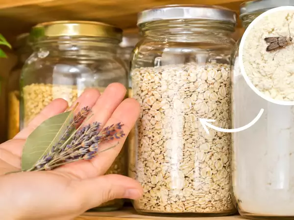Dispensa invasa dalle tarme della farina? Il rimedio della nonna che le tiene davvero alla larga