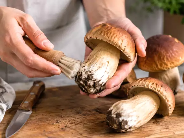Hai appena pulito i porcini freschi? Il semplice gesto da evitare assolutamente prima di cuocerli