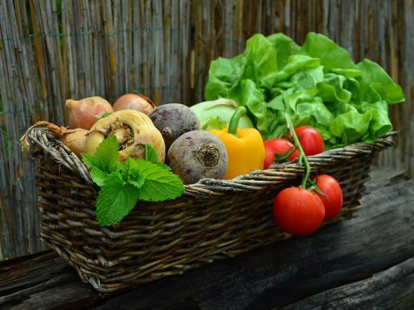 Diete vegetariane e vegane: sono davvero sicure per il vostro corpo e il vostro benessere?