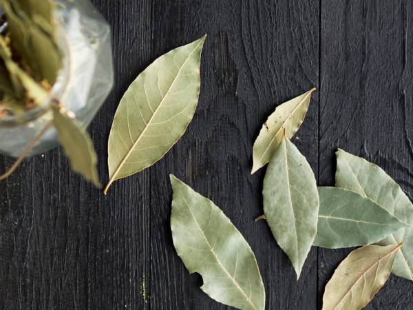 10 usi sorprendenti delle foglie di alloro che probabilmente non conoscevate!