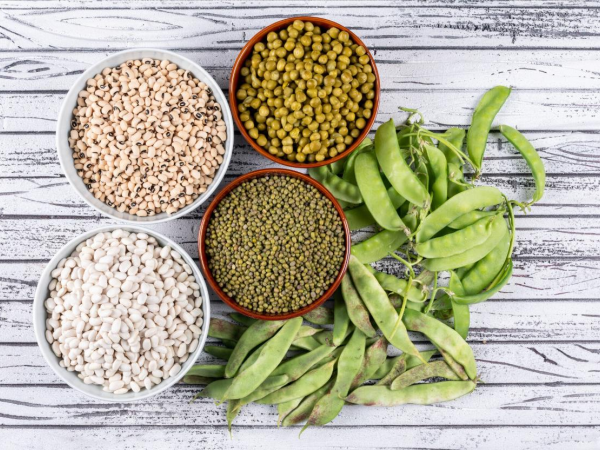Potenzia la tua salute metabolica con queste 5 proteine vegetali straordinarie!