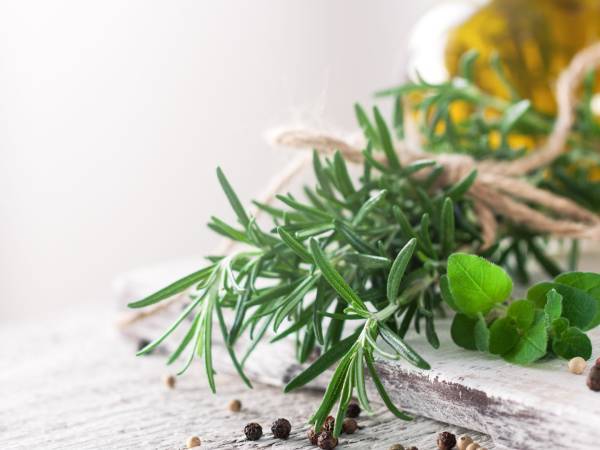 Scopri gli usi sorprendenti del rosmarino: dalla cucina ai benefici per la salute e il benessere quotidiano
