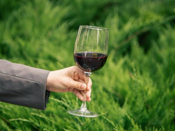 Vino vegano: che cos'è, come viene prodotto e perché sta conquistando sempre più consumatori?