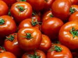 Articoli: I pomodori durano di più: 5 consigli che funzionano davvero