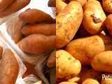 Articoli: ¿Sabes en qué se diferencian la batata y la patata?