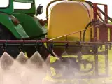 Articoli: Cibi biologici e cadmio: cosa ha rivelato l’Anses e perché sempre più consumatori sono allarmati?
