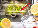 Articoli: Basta deodoranti: il metodo naturale per togliere in 5 minuti il cattivo odore dalla lavastoviglie