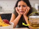 Articoli: Come eliminare i moscerini in cucina in una sola notte: il rimedio naturale (senza spray chimici)