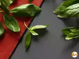 Articoli: I segreti per ravvivare e conservare a lungo le erbe aromatiche fresche: consigli semplici per casa