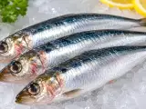 Articoli: Cómo saber si una sardina no está en buen estado: las señales que nunca debes pasar por alto