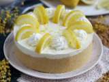 Articoli: 14 dolci estivi senza forno né fornelli: idee fresche e facili che conquistano ogni pranzo o cena