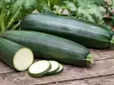 Articoli: Zucchine troppo grandi? Scopri se puoi mangiarle, come valutarle e piccoli trucchi per non sprecarle