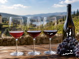 Pinot Nero: differenze tra Italia, Francia e le regioni del mondo che lo interpretano meglio