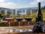 Articoli: Pinot Nero: differenze tra Italia, Francia e le regioni del mondo che lo interpretano meglio