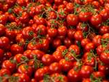Articoli: Richiamo pomodoro ciliegino per rischio Salmonella: controlla ora se hai il lotto interessato in casa