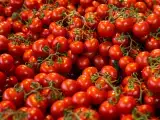 Articoli: Richiamo pomodoro ciliegino per rischio Salmonella: controlla ora se hai il lotto interessato in casa