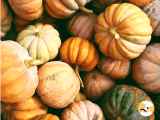 Articoli: Cuidado, ¡no todas las calabazas son iguales! Descubre las variedades más comunes y sus usos en la cocina
