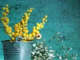 Festa della donna: i dolci mimosa da preparare a casa
