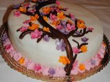 Ricetta Un compleanno speciale, una torta speciale