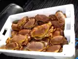 Ricetta Taglierini con granseola e vitello tonnato senza tonno