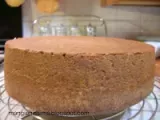 Ricetta Pan di spagna al cacao di luca montersino (ricetta classica con burro)