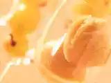 Ricetta Sorbetto di uva e grappa