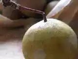 Ricetta Piccole pere antiche
