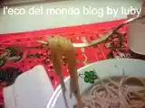 Ricetta Spaghetti in pentola a pressione