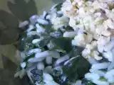 Ricetta Riso con erbette e pesto di noci e pinoli