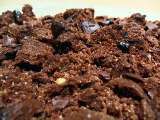 Ricetta Crumble pere, cioccolato e castagne